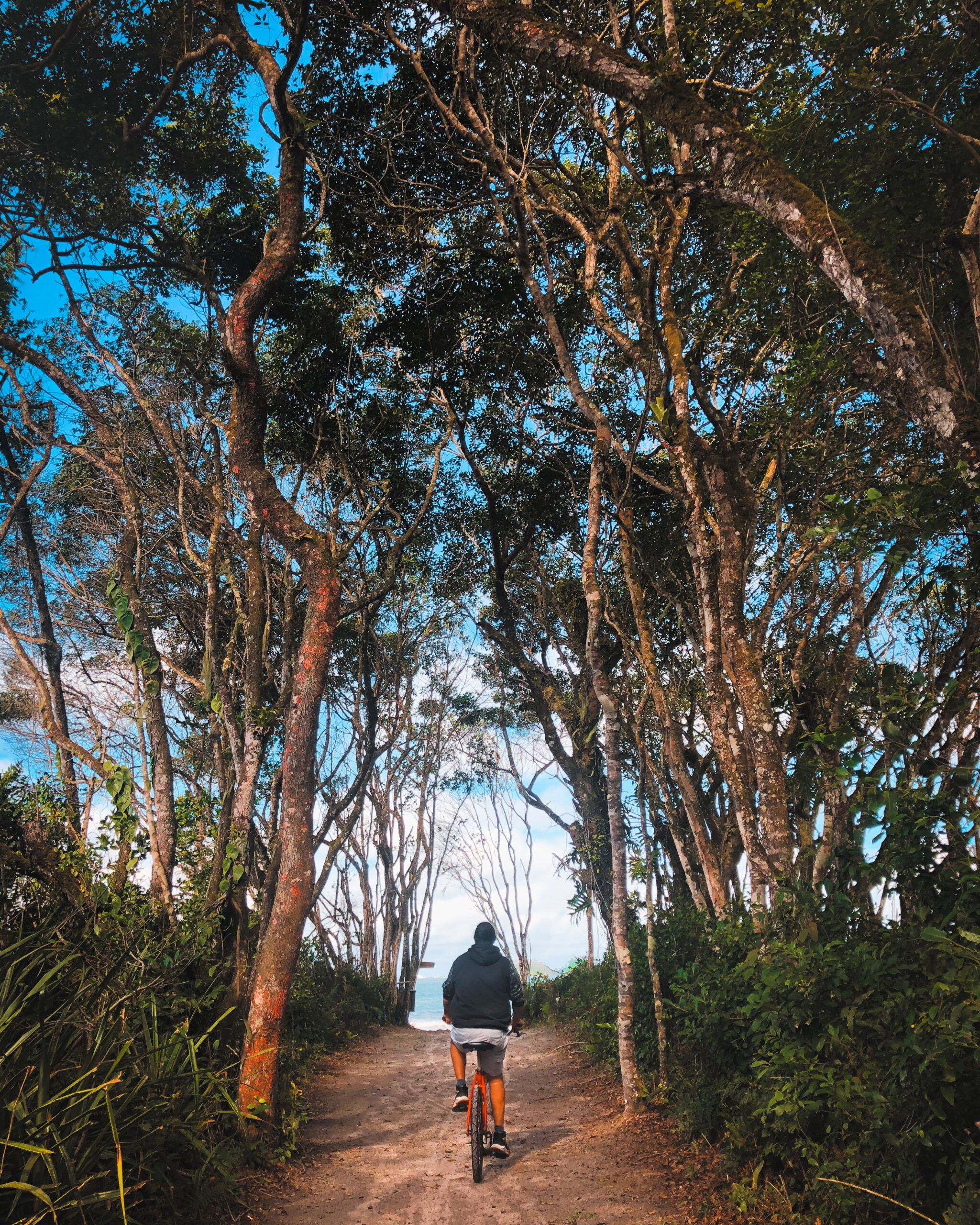 Ciclista pedalando em trilha com mata nativa na Ilha do Mel